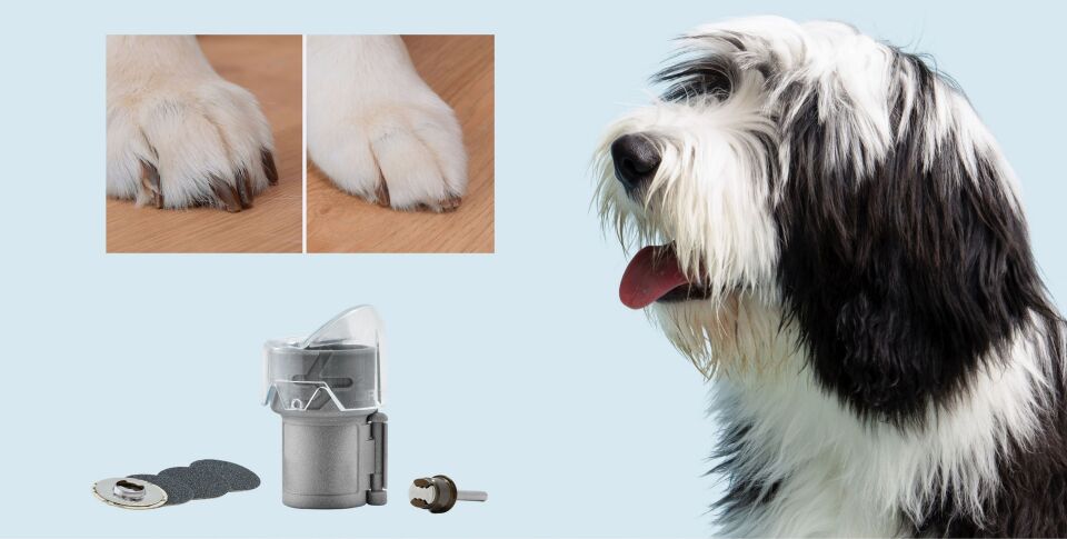 Dremel® Evcil Hayvan Tırnak Bakımı Koruyucu Başlık Kiti (AT02-PGK)