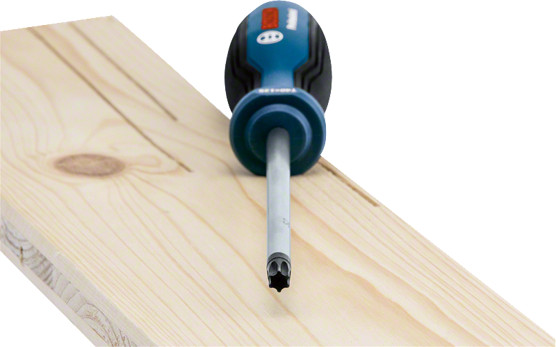 Bosch Profesyonel Torx Tornavida TX40x125