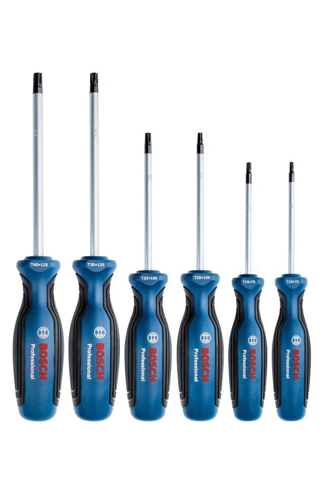 Bosch Profesyonel Torx Tornavida Seti 6 Parça