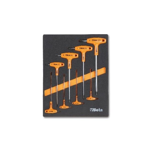 T Allen Takımı Modüler M50